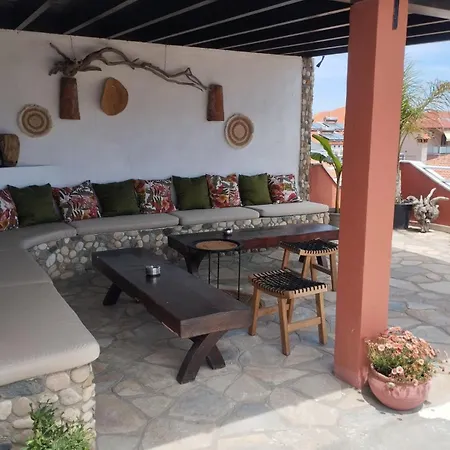 Apollon 2* 사르티