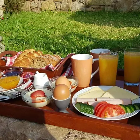 Aparthotel Apollon Sarti