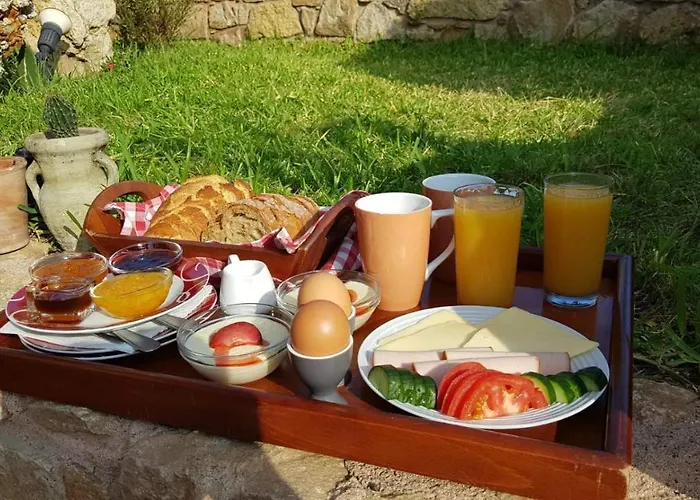 Aparthotel Apollon Sarti